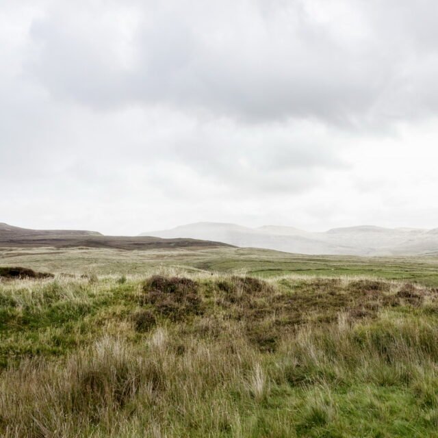 Landschaft Himmel Gruen 35