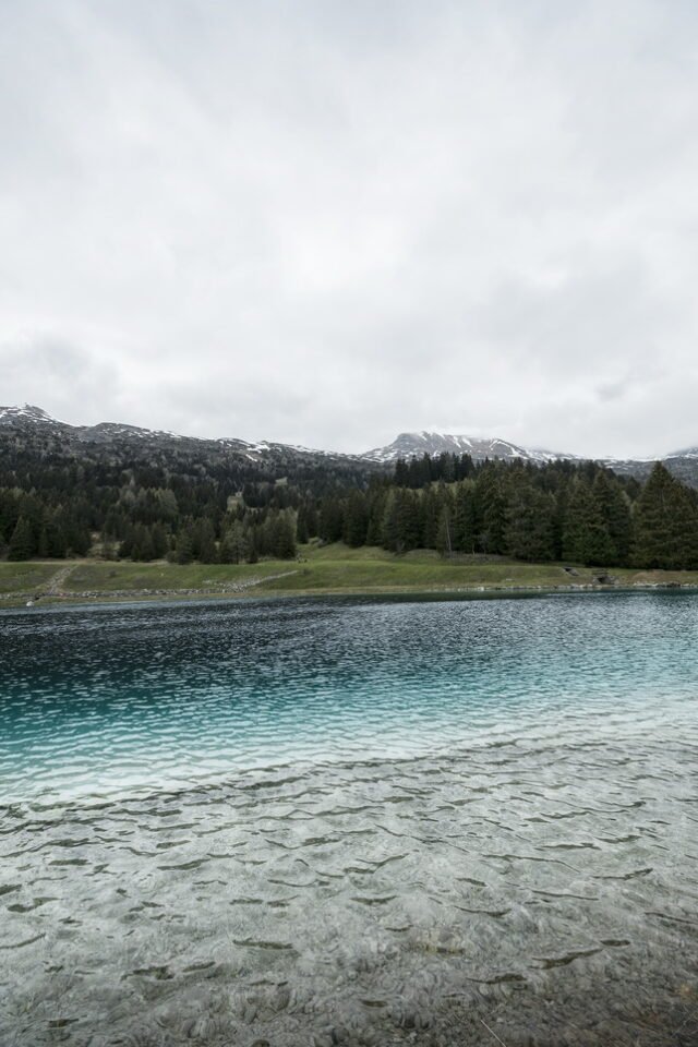 Landschaft Lenzerheide 06