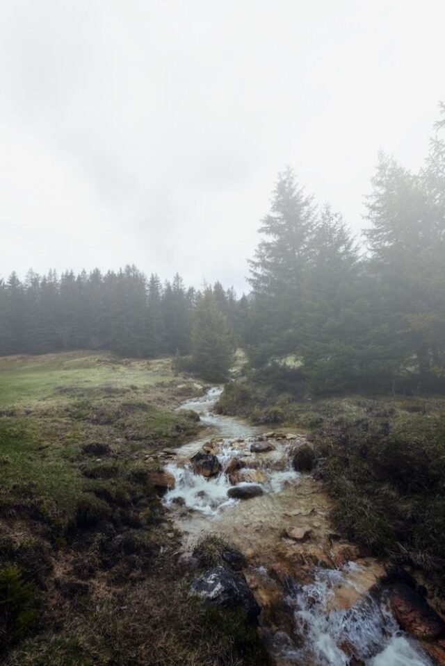 Landschaft Lenzerheide 09