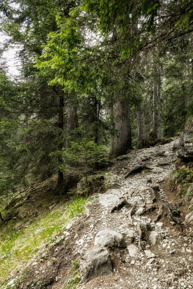 Landschaft Lenzerheide 10