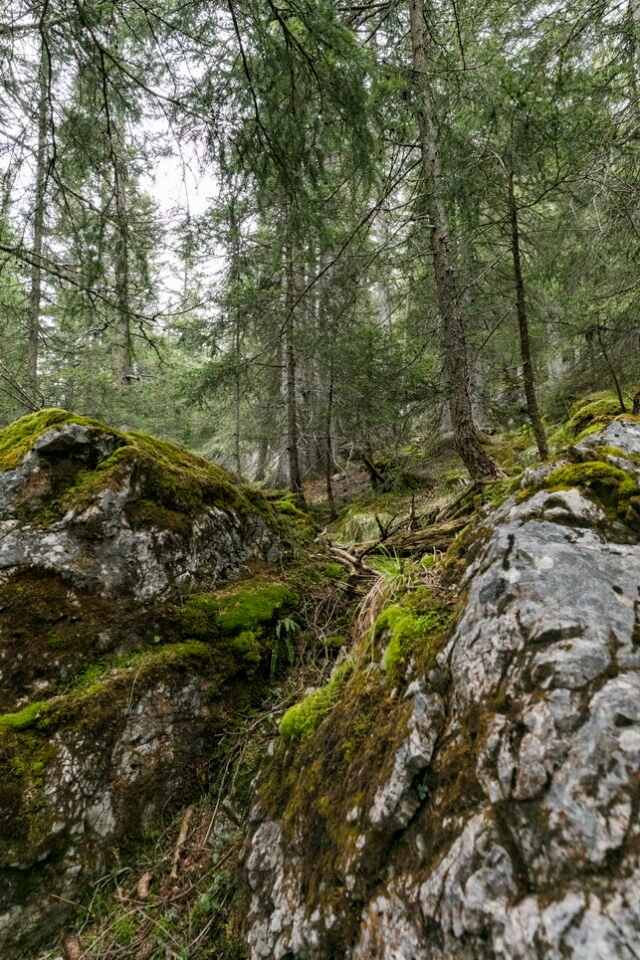 Landschaft Lenzerheide 13