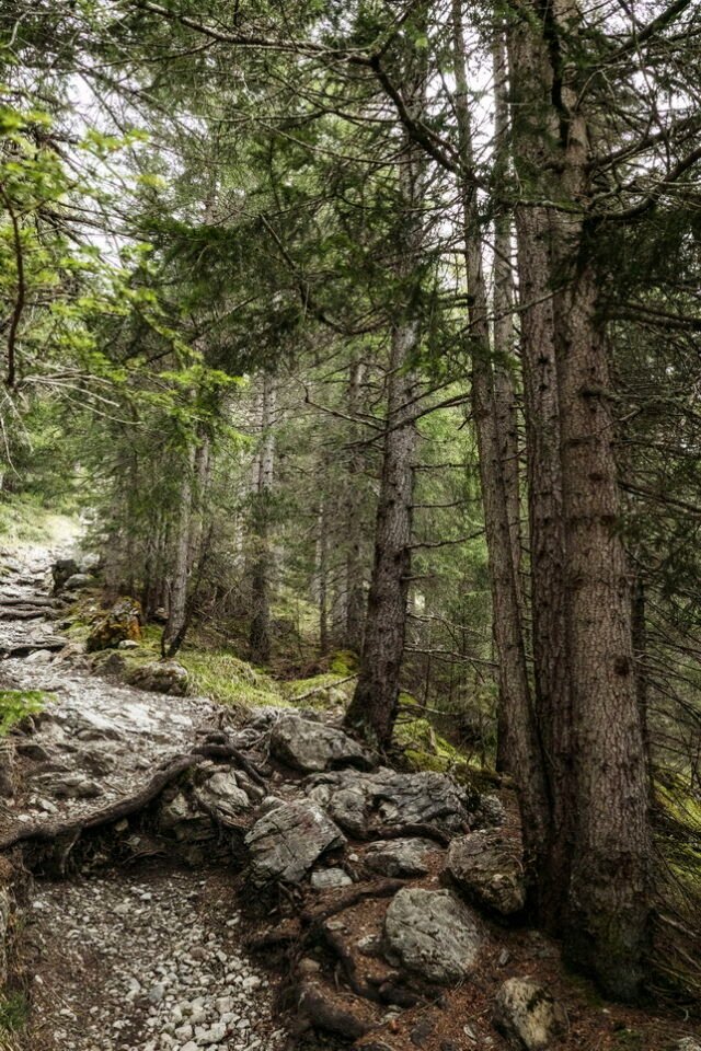 Landschaft Lenzerheide 14
