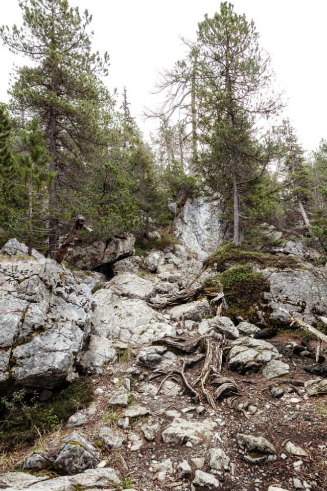 Landschaft Lenzerheide 18