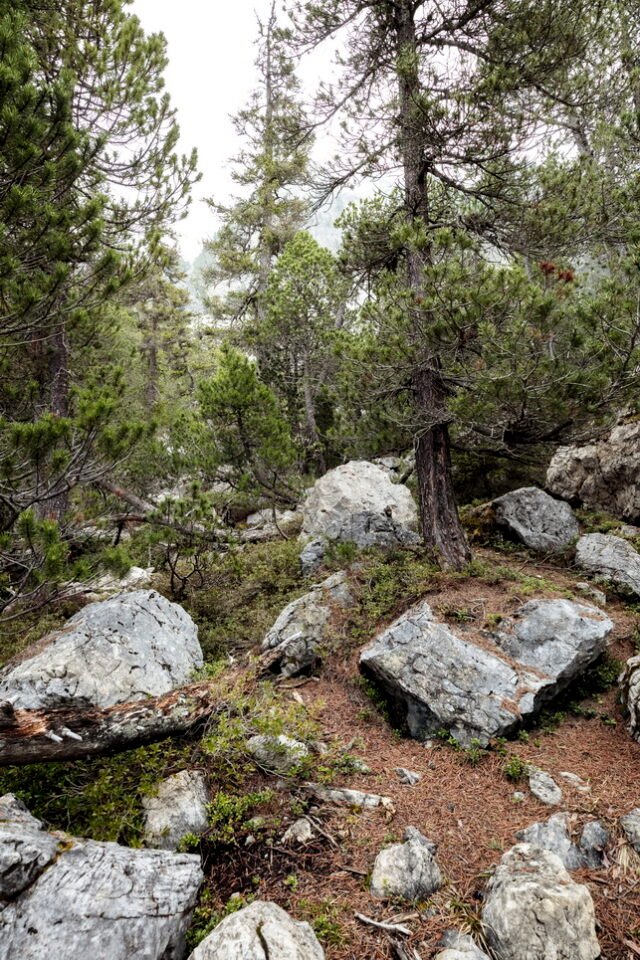 Landschaft Lenzerheide 19