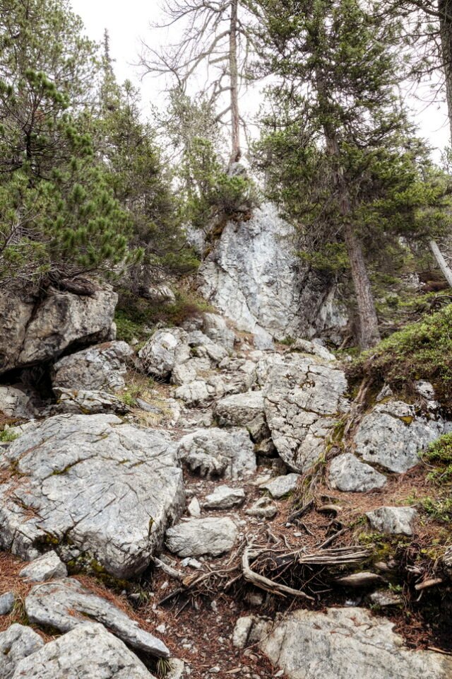Landschaft Lenzerheide 21
