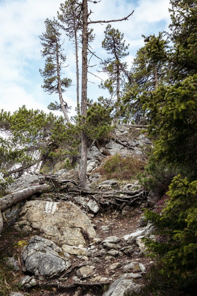 Landschaft Lenzerheide 23