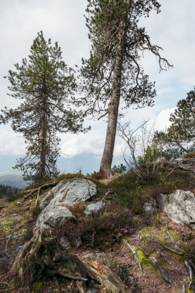 Landschaft Lenzerheide 26