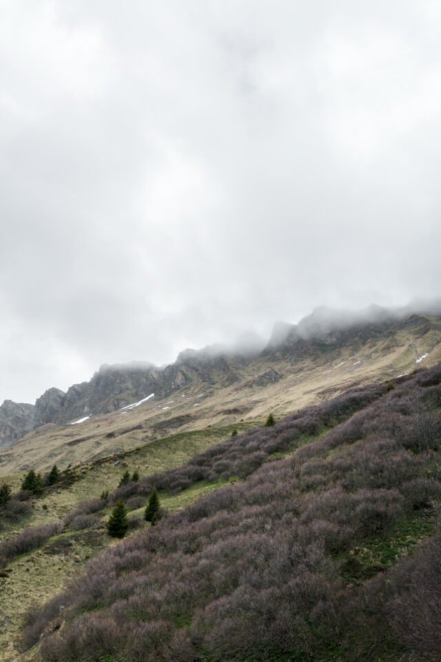 Landschaft Lenzerheide 31