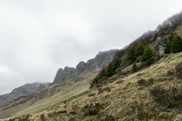 Landschaft Lenzerheide 33