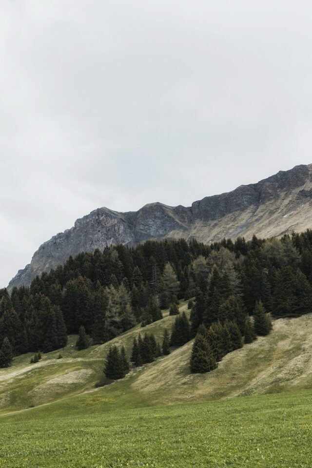 Landschaft Lenzerheide 36