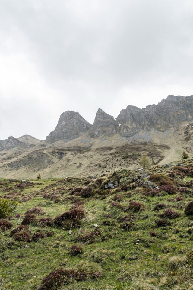 Landschaft Lenzerheide 37