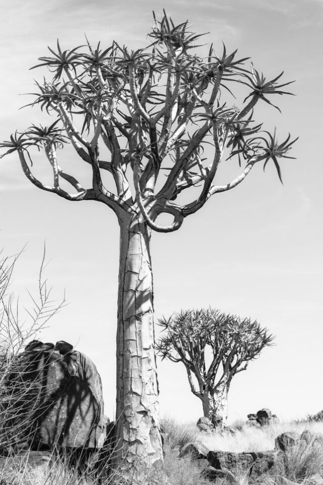 Landschaft Namibia 06