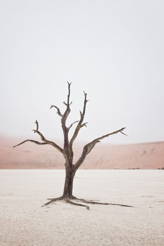 Landschaft Namibia 27
