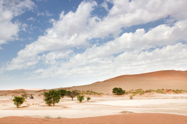 Landschaft Namibia 32