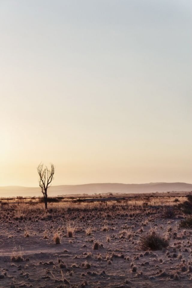 Landschaft Namibia 36