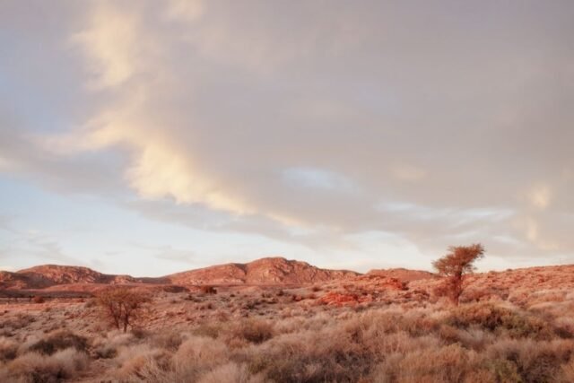 Landschaft Namibia 37