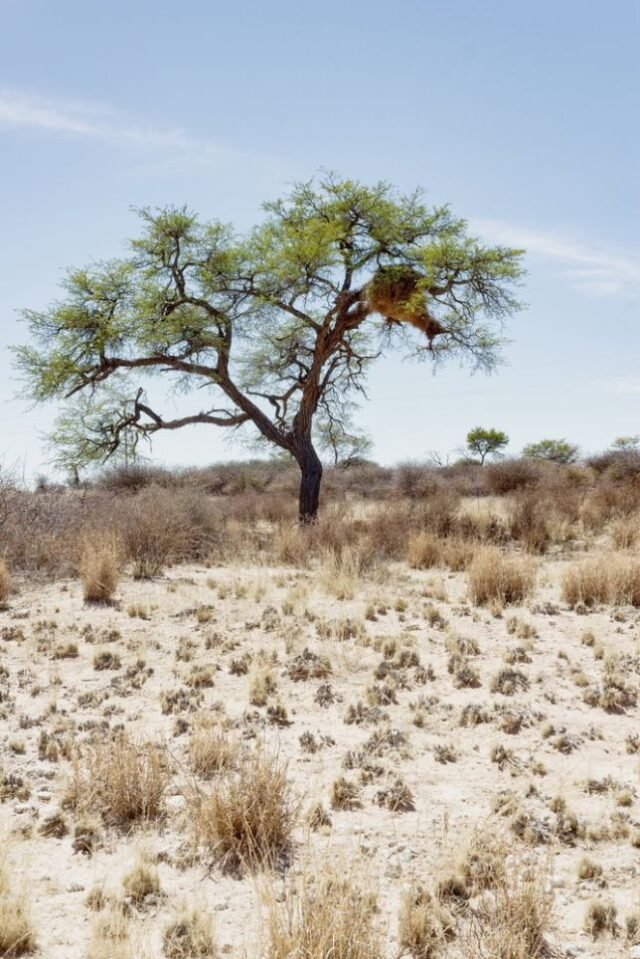 Landschaft Namibia 45