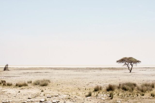 Landschaft Namibia 46