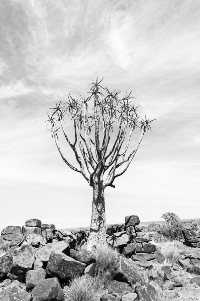 Landschaft Namibia 49