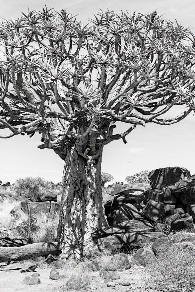 Landschaft Namibia 77