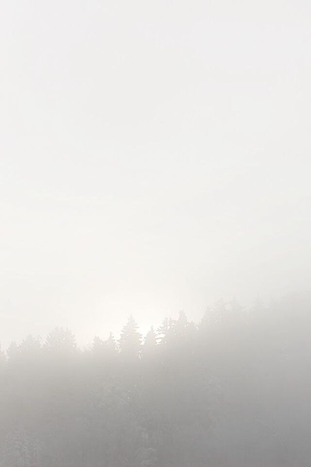 Landschaft Nebel Dunst 05