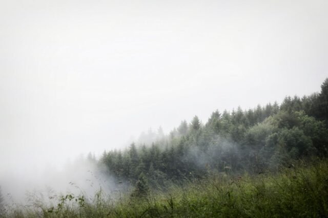 Landschaft Nebel Dunst 26
