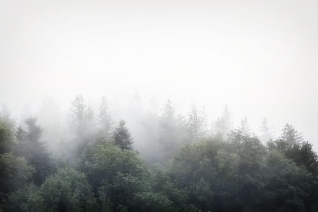 Landschaft Nebel Dunst 27