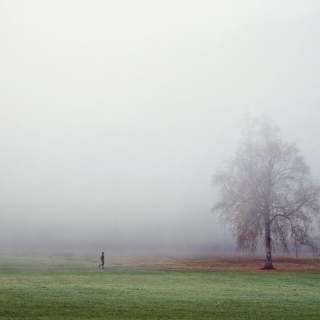 Landschaft Nebel Dunst 28