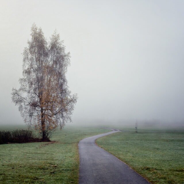 Landschaft Nebel Dunst 29
