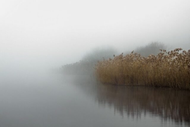 Landschaft Nebel Dunst 36