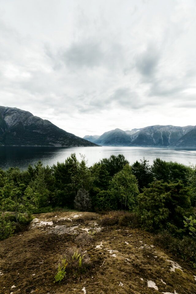 Landschaft Norwegen 034