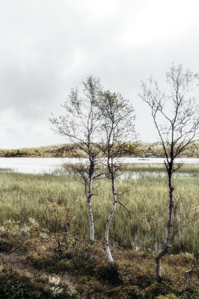 Landschaft Norwegen 045