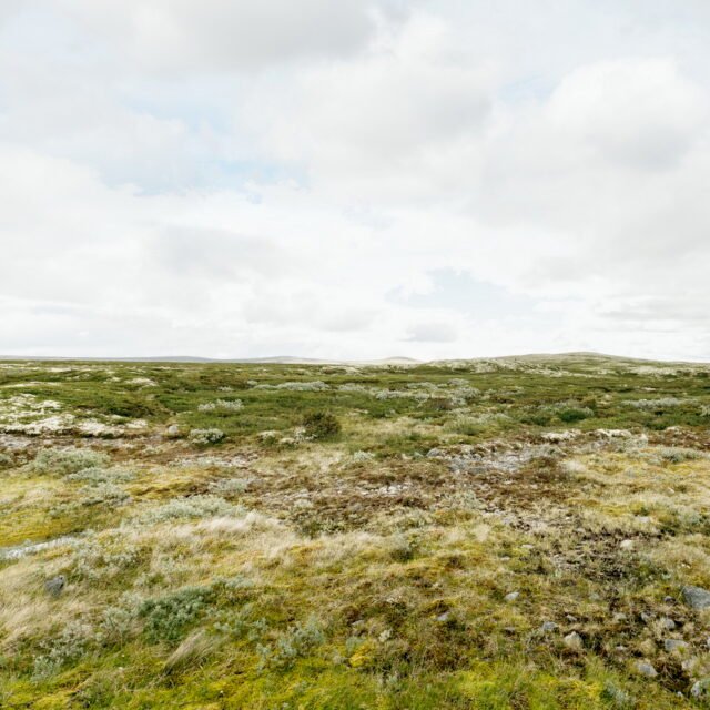 Landschaft Norwegen 055