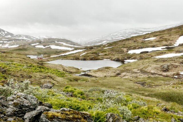 Landschaft Norwegen 056