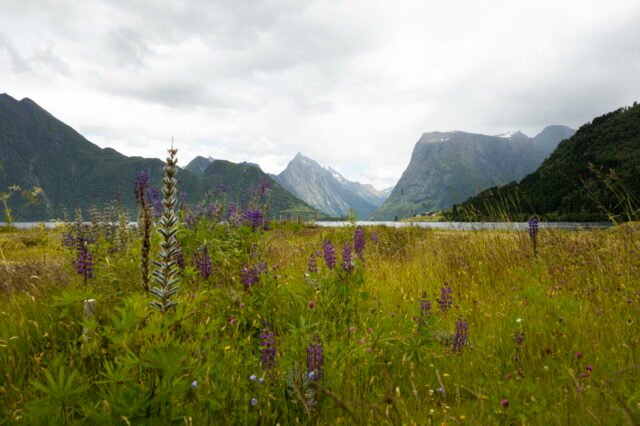 Landschaft Norwegen 060