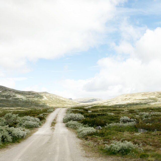 Landschaft Norwegen 069