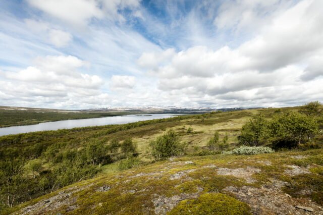 Landschaft Norwegen 070