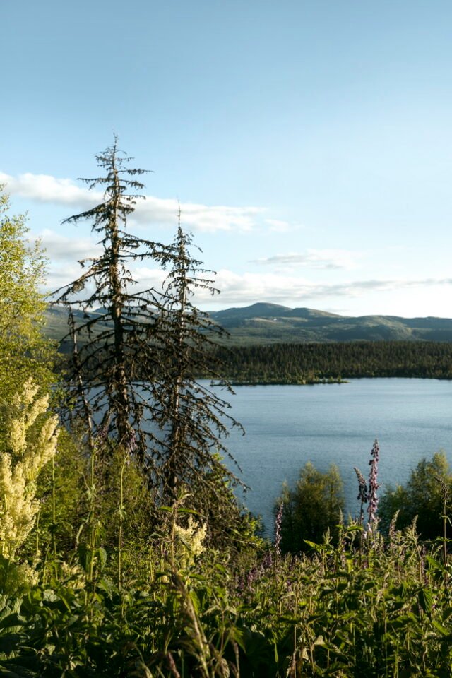 Landschaft Norwegen 075