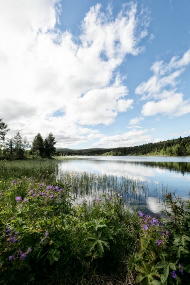 Landschaft Norwegen 098