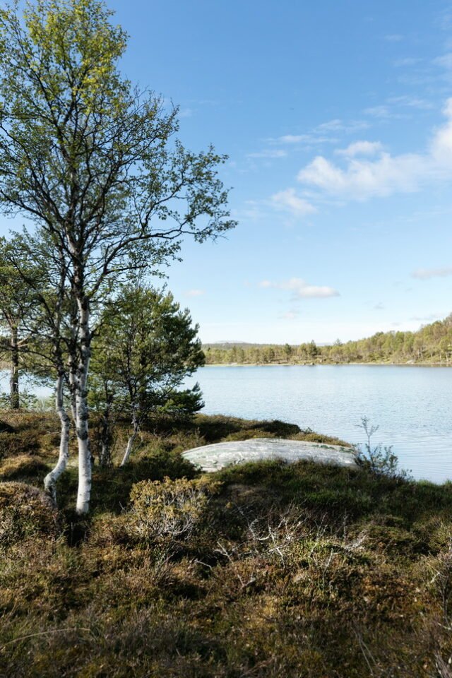 Landschaft Norwegen 102