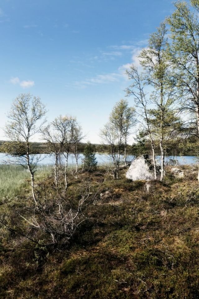 Landschaft Norwegen 103