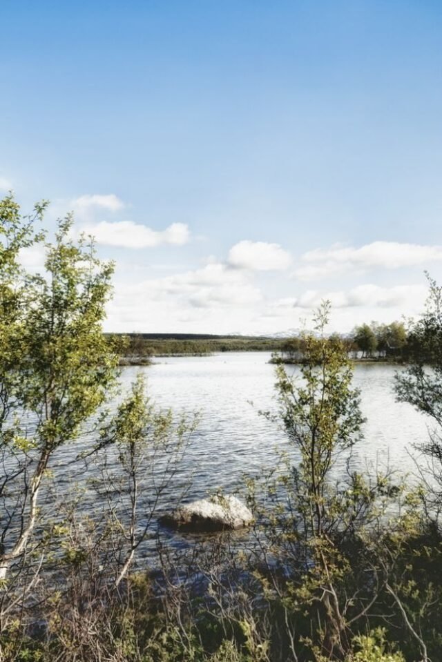 Landschaft Norwegen 104