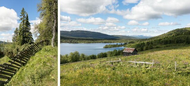 Landschaft Norwegen 109