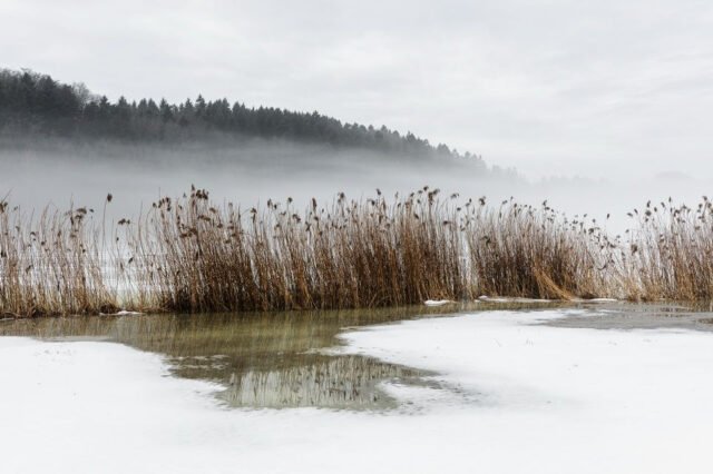 Landschaft Schneeschmelze 01
