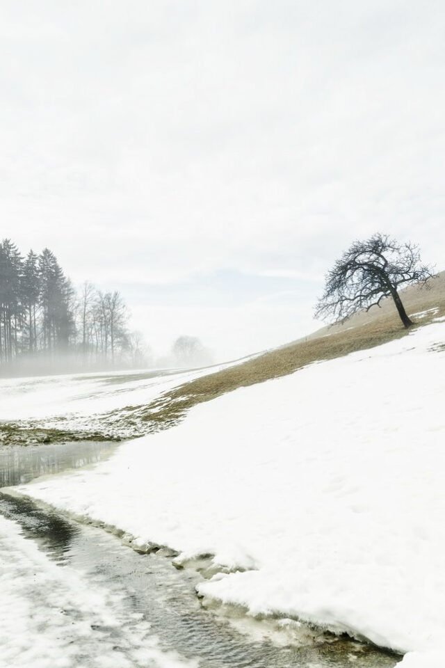 Landschaft Schneeschmelze 04