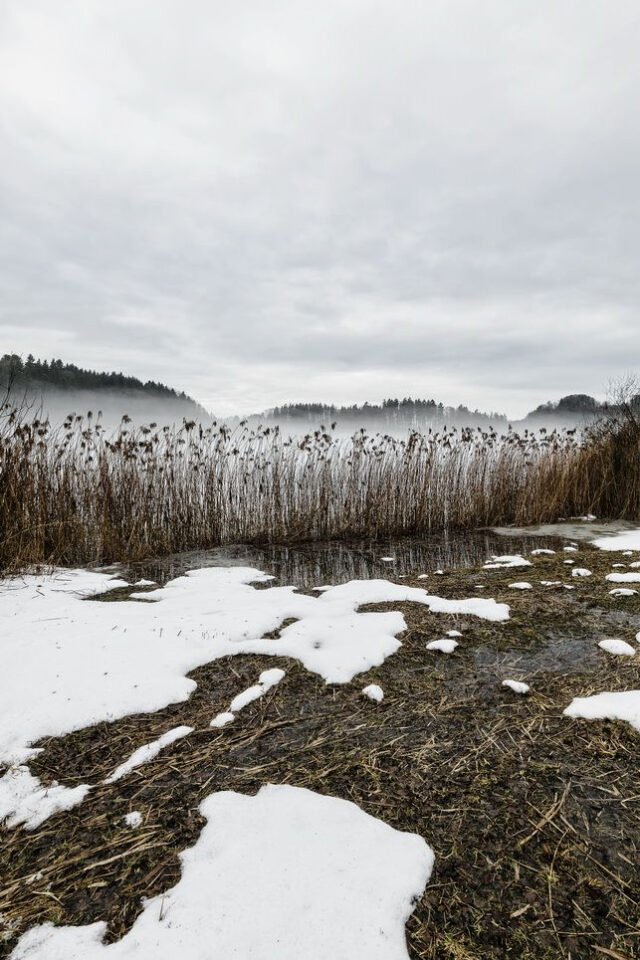 Landschaft Schneeschmelze 09