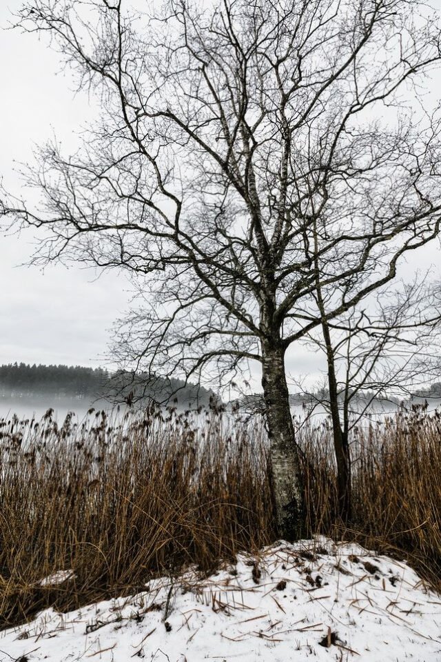 Landschaft Schneeschmelze 13