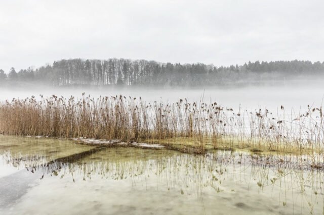 Landschaft Schneeschmelze 17