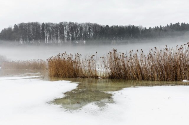Landschaft Schneeschmelze 22