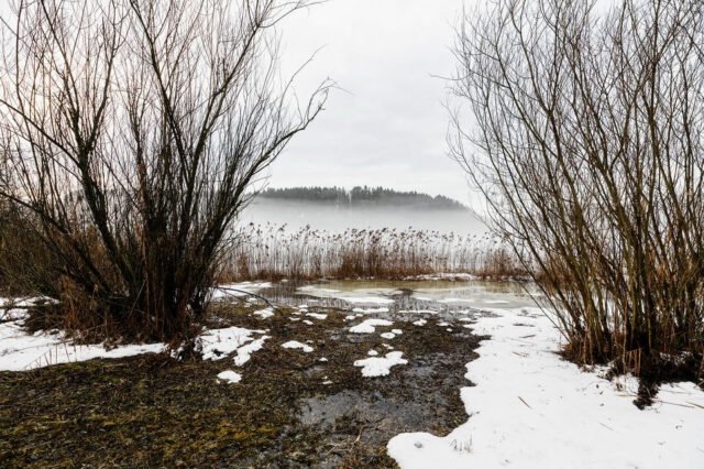 Landschaft Schneeschmelze 24